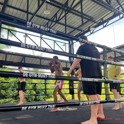 DE Gym Muay Thai