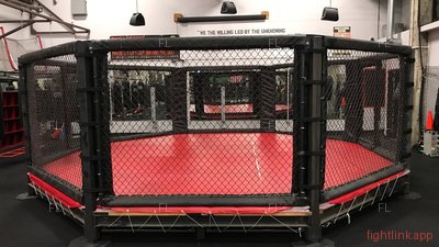Should You Train Muay Thai at an MMA Gym?